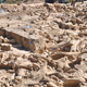 Hundreds of mammoth bones were found at the Kostenki 11 site in Russia.